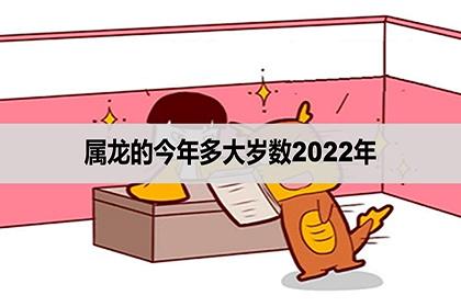 属龙的年龄性格