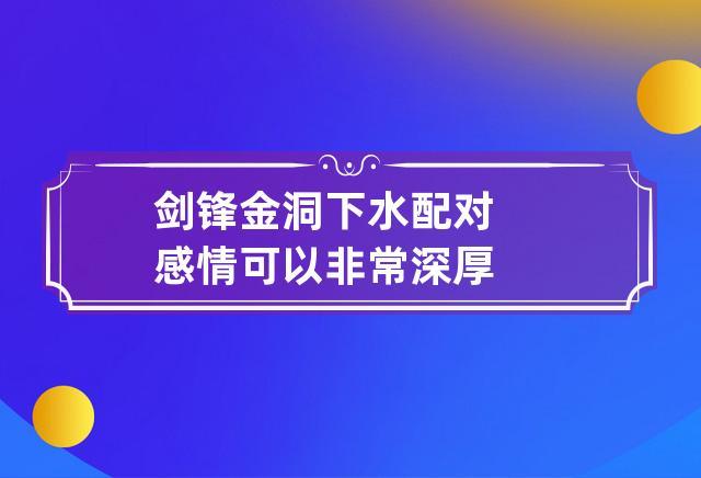剑锋金洞下水配对