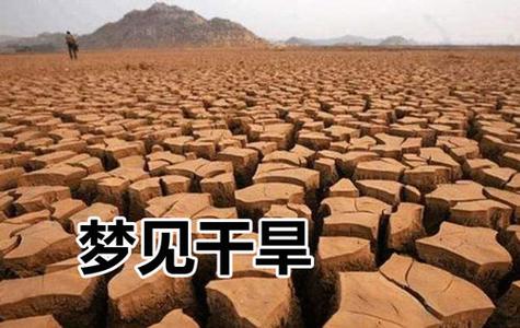 梦见旱灾