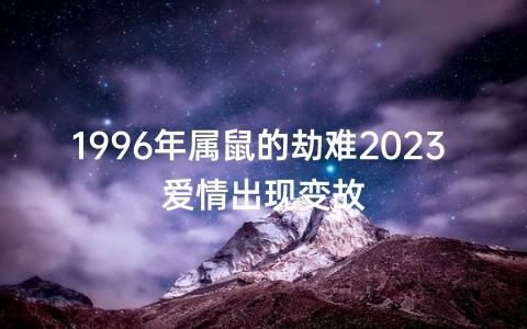属鼠的爱情难题都是什么
