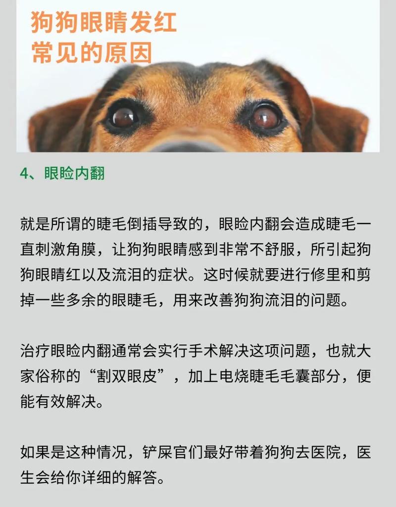 7月末,财富红了眼睛,4生肖事业一直出,辛辛苦苦出头