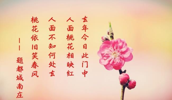 2019年如何增加桃花运姻缘