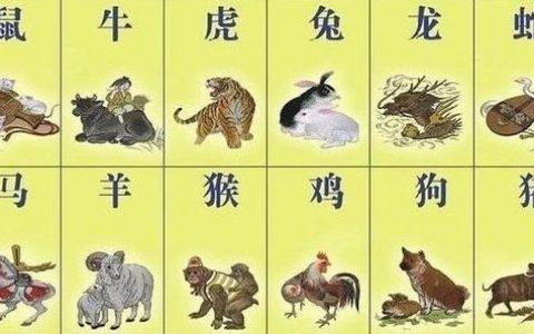 属兔2020年不宜去什么方位