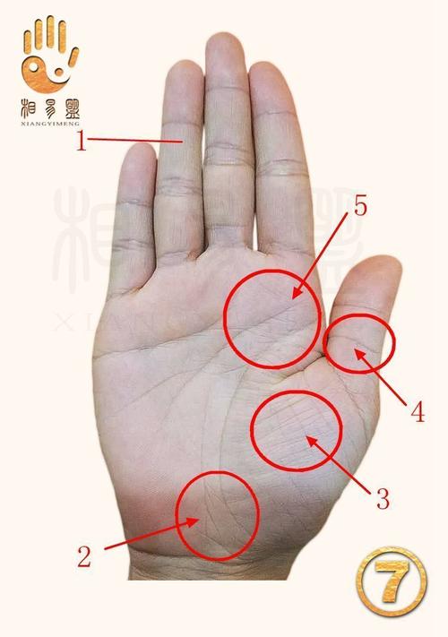 不看后悔,手相主纹路完整介绍
