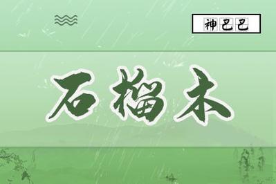 石榴木命五行缺木适合做什么生意