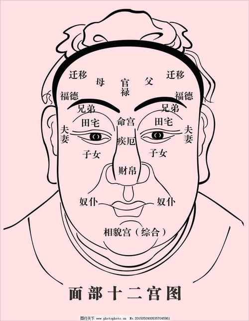 富贵之人的面相分析