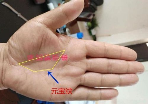 富翁手相特征,三个以上必有富贵