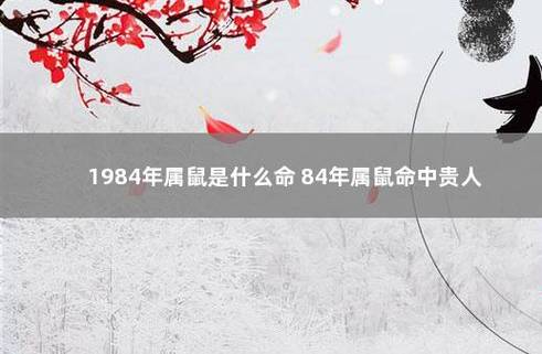 属鼠一生中最大的追求是什么
