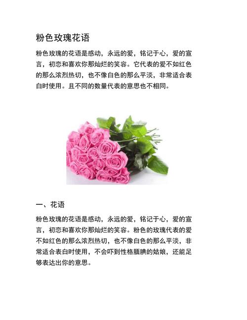 玫瑰花语 不同颜色不同的寓意
