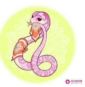 生肖蛇星座射手座