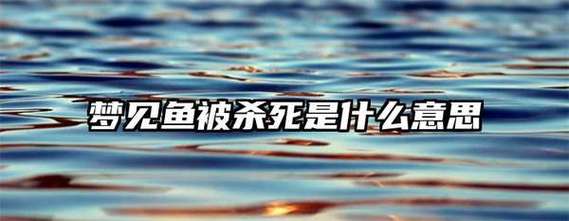 梦见鱼被毒死 梦见鱼被毒死了