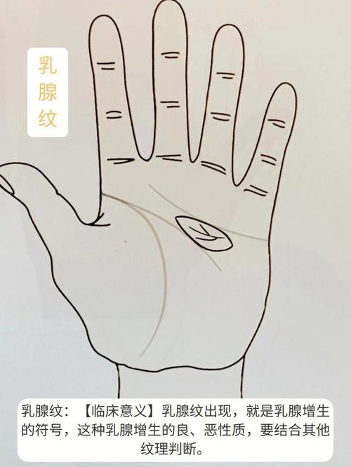 吴宽之教看三大恶纹相