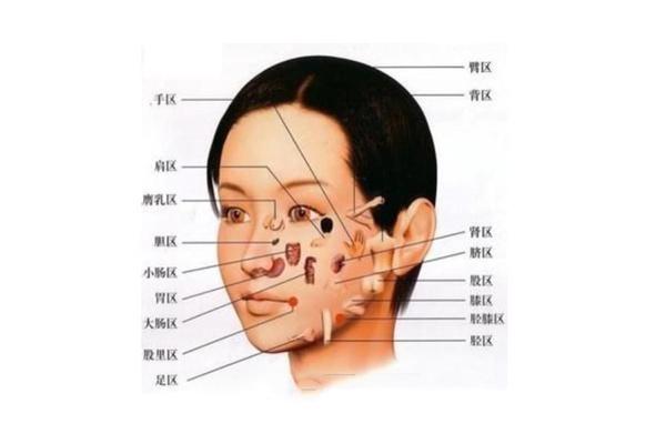 面相与健康:面相三处看出脾胃好坏