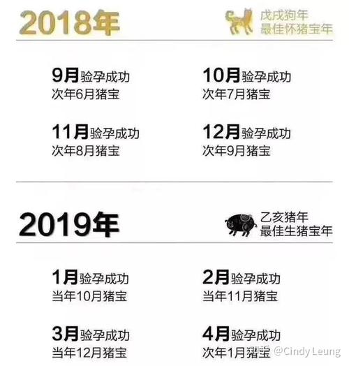 2019年男猪宝宝哪个时辰出生最好?