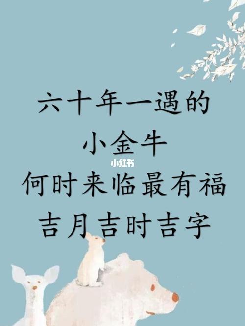 60年一遇的金牛好吗