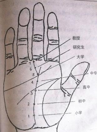 考上大学的手相是什么样的
