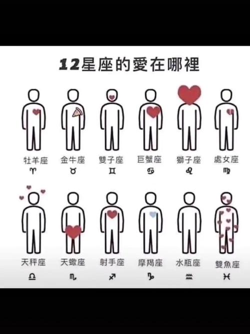 不想失去所爱,假装原谅的星座