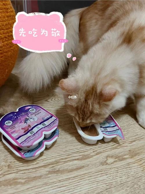 不开心只要有好吃的就能马上开心的星座