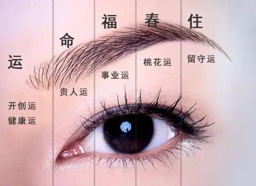 事业运差的面相怎么看