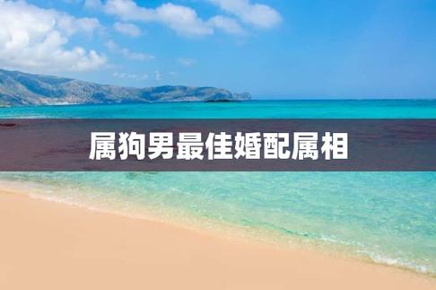 属狗男最佳婚配生肖