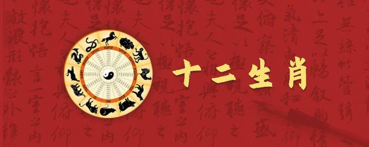 生肖龙天定缘分命中情人