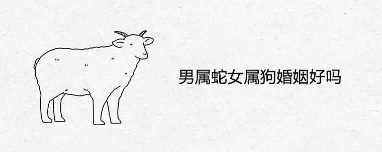 肖狗男和肖蛇女的爱情配对定数