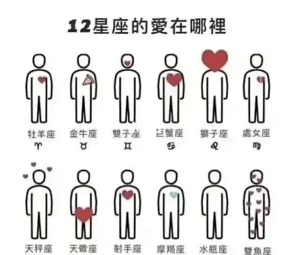 爱刷存在感的星座