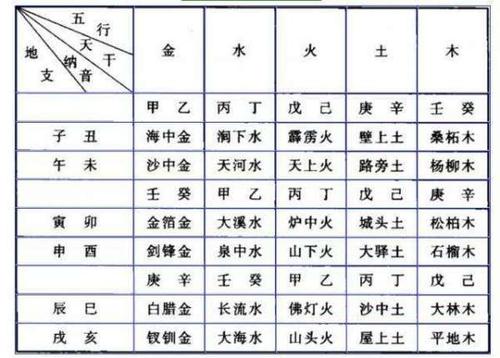 月支是什么 月支是什么字