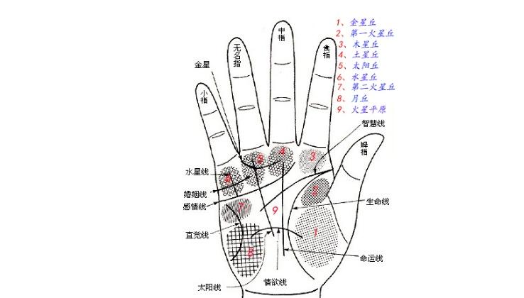 男生的右手相代表什么