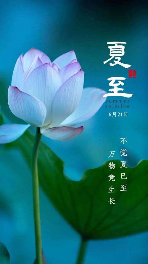 2021年农历五月十二日夏至出生是不是很好命?