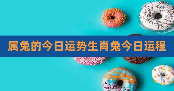 生肖兔最新的运势