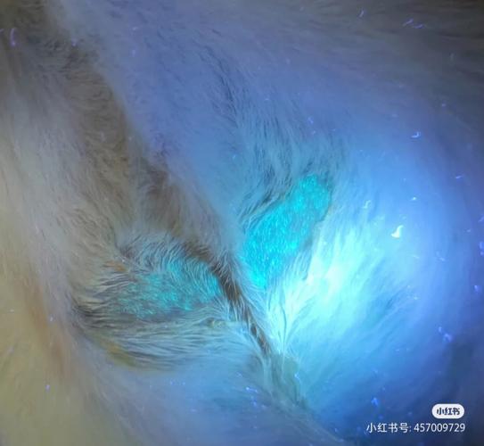 梦见给鳞癣上涂药是什么意思