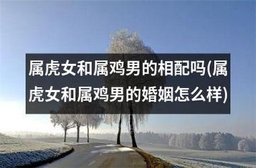 女鸡男虎婚姻相配吗?属虎男的性格是什么样的?