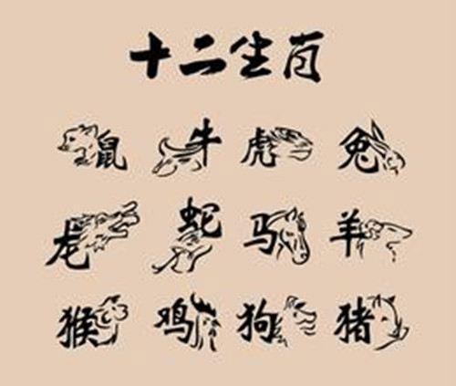 属兔如何面对自己的不完美