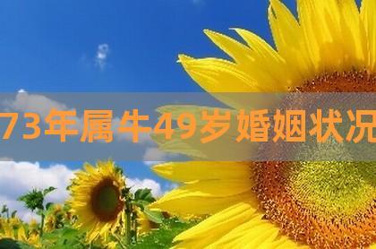 1973年属牛女人一生命运,1973属牛女的婚姻