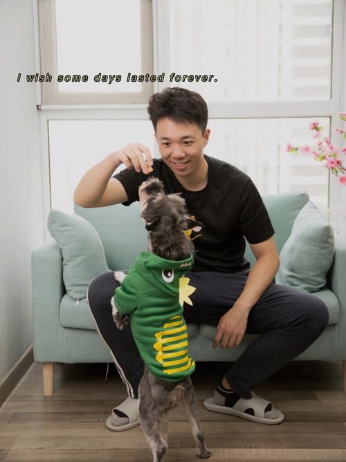 梦见小马驹怎么回事