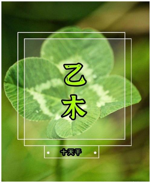命运的符号之乙木