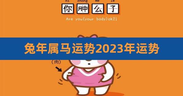 生肖马2023年兔年运程