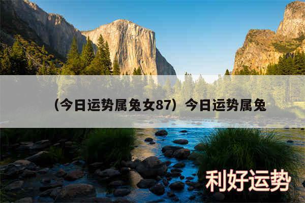 2021年12月属兔的婚姻感情运势怎么样