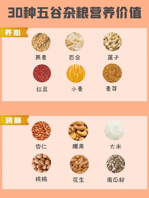 属兔的人如何饮食养生