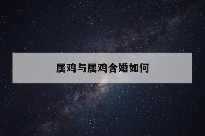 属鸡关于恋爱的事