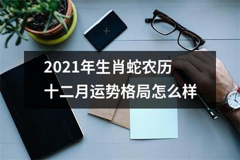 属蛇的人在2021年12月可以离职吗