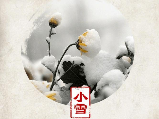 2021年小雪节气特吉生肖运势指数