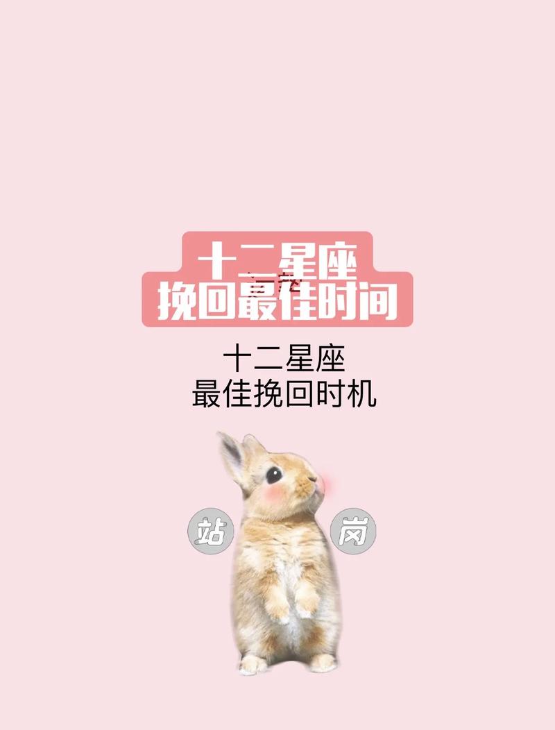 12星座被抛弃想挽回的方式