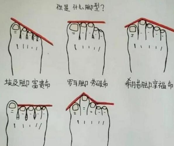 第三个脚趾长是什么命运