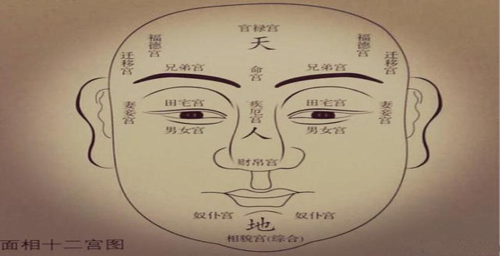 面相十二宫:财帛宫四化详解