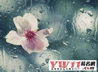 女人梦见下雨什么预兆