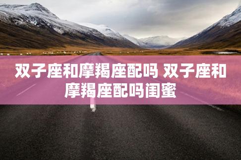 摩羯座跟双子座般配吗