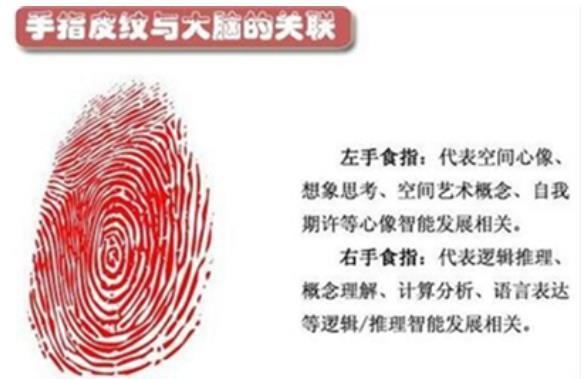 指纹分析你的命中情人