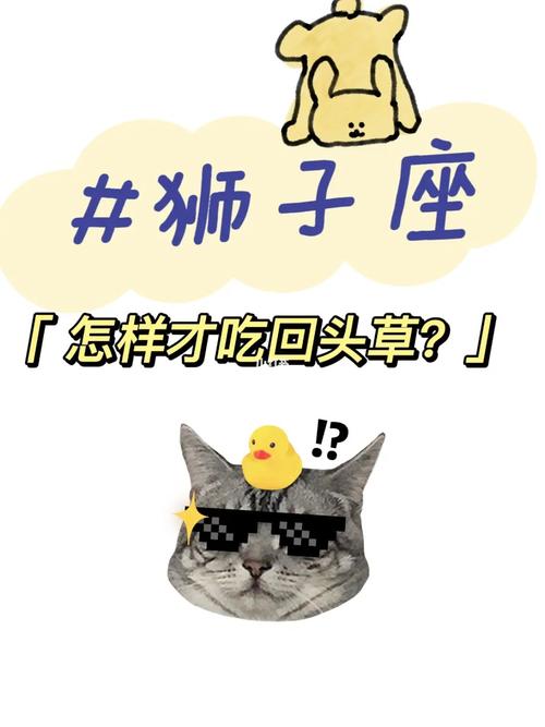 狮子座会吃回头草吗